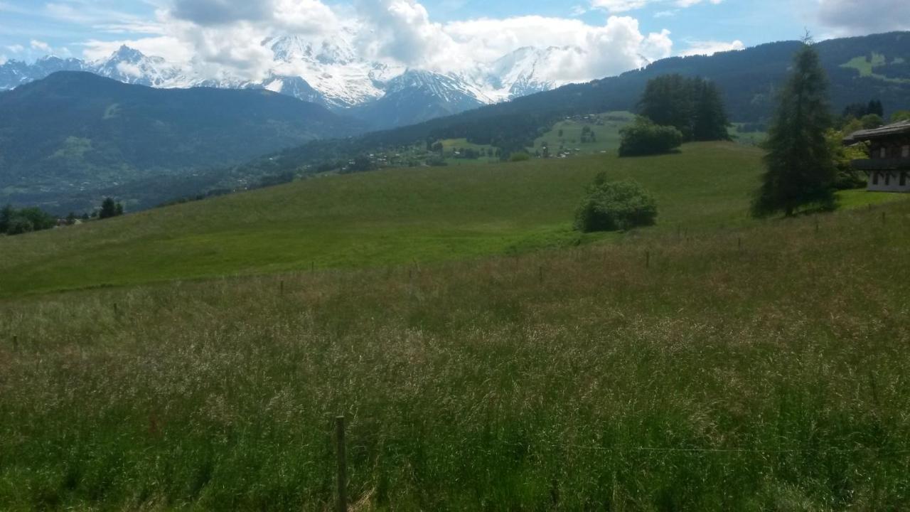 Rez De Chaussee Tres Calme Vue Mont-Blanc Combloux Room photo